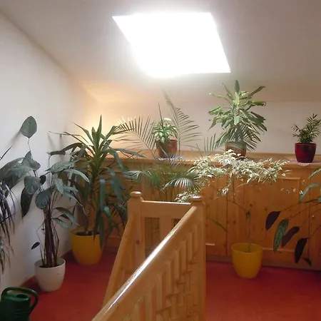 Haus Cilli Penzion
