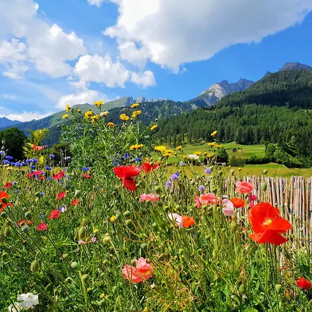 Haus Cilli 3* ヴィルゲン