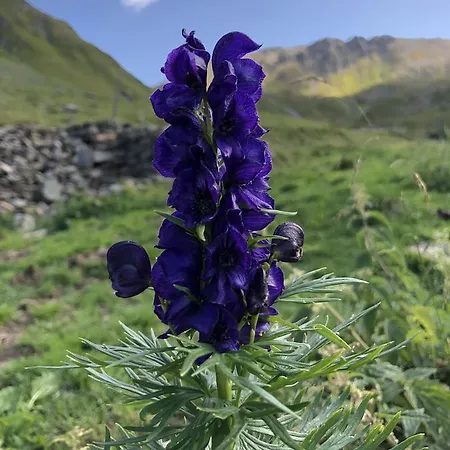 Haus Cilli Gasthof 3*