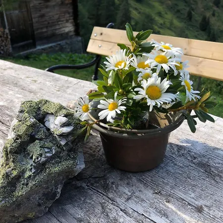 Penzion Haus Cilli *