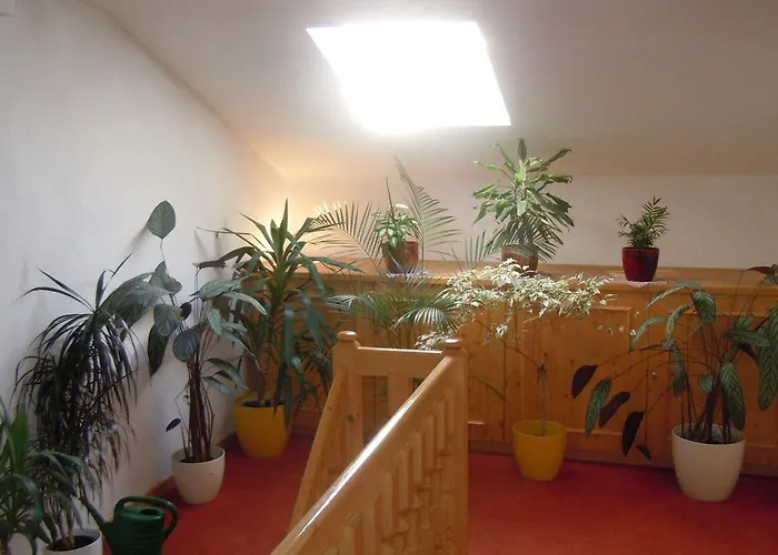 Haus Cilli ゲストハウス