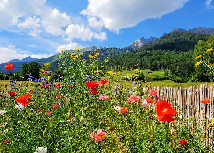 Haus Cilli 3* ヴィルゲン