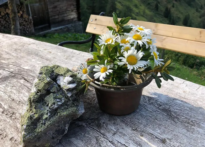 ゲストハウス Haus Cilli 3*